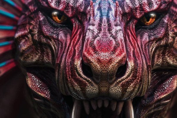 Kraken настоящая ссылка