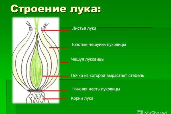 Что такое кракен тор
