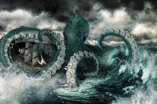 Kraken 18