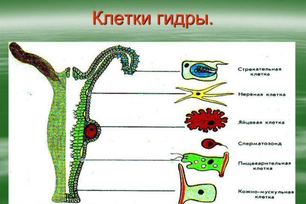 Доступ кракен