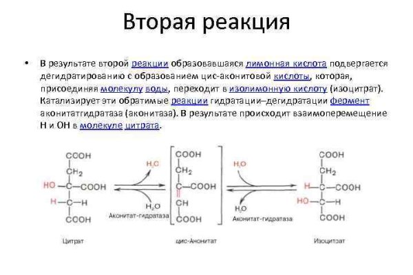 Ссылка кракен kraken torion net