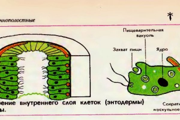 Работающий сайт кракен
