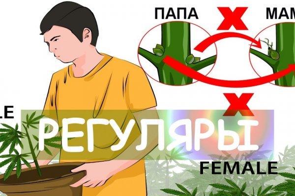 Kraken официальные зеркала