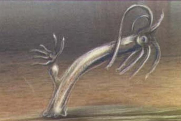 Заказать даркнет