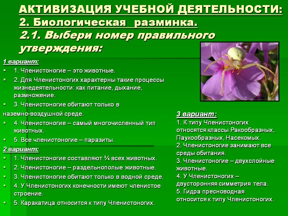 Логин и пароль от кракен
