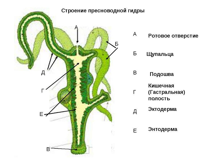 Кракен кз