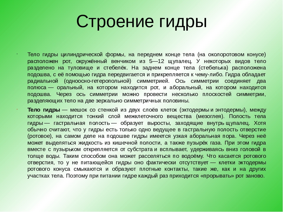 Kraken clear ссылка